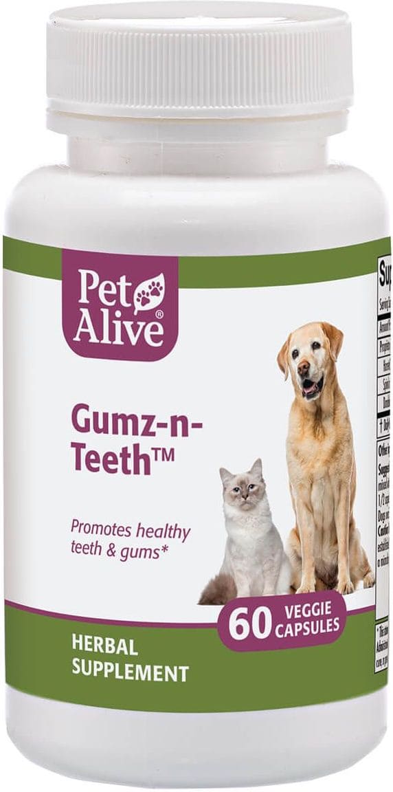 PetAlive Gumz-n-Teeth