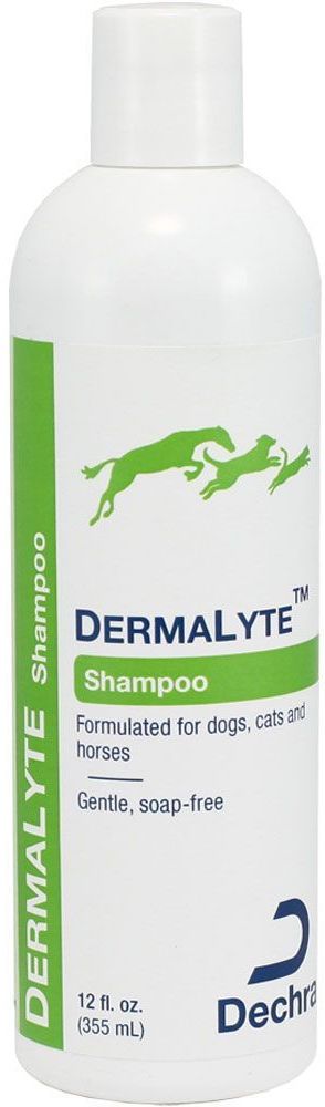 DermaLyte Shampoo