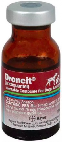 Droncit Injection