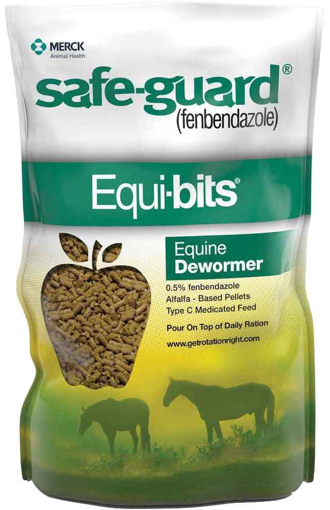 Safe-Guard Equi-bits