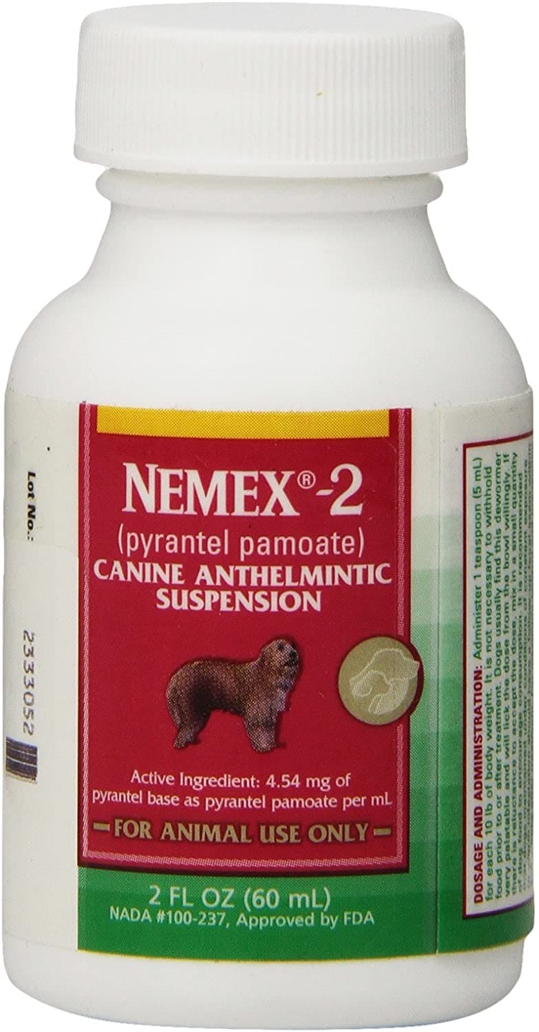 Nemex-2 